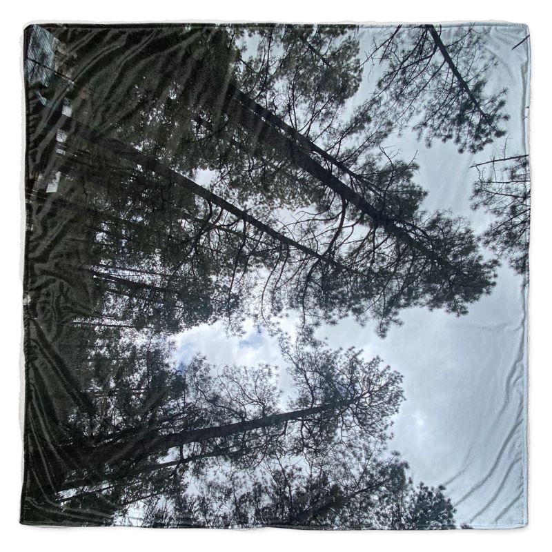 Tree throw from Ruidoso